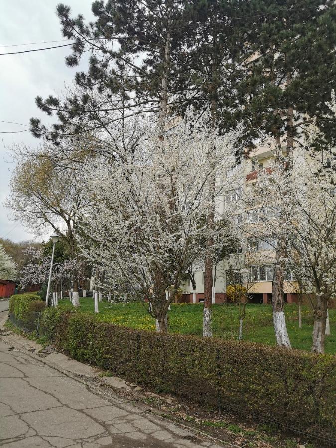 Apartament Maysa Cluj-Napoca Exterior foto